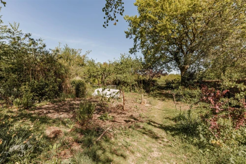 House - Detached Main Photo