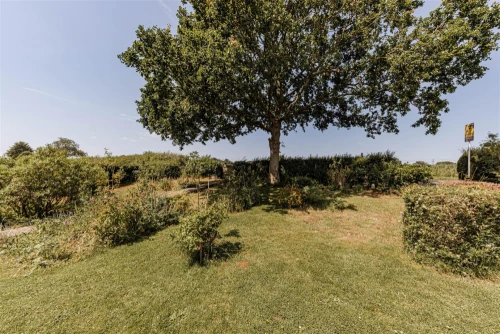 House - Detached Main Photo