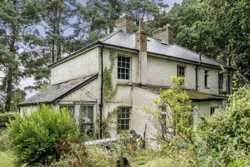 House - Detached Main Photo