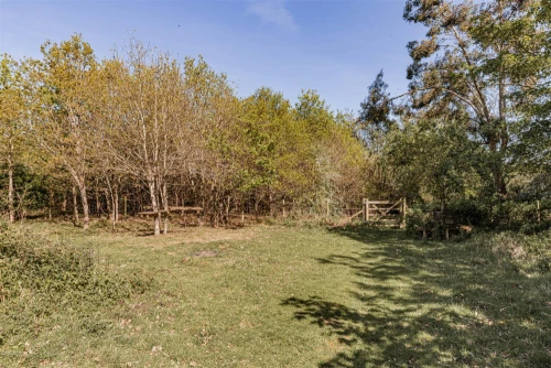 House - Detached Main Photo