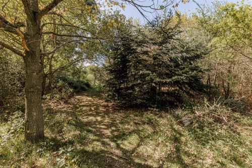 House - Detached Main Photo