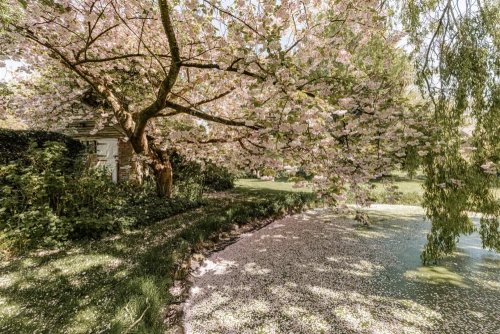 House - Detached Main Photo